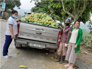Hội Liên hiệp phụ nữ Thành phố hỗ trợ nông dân trên địa bàn tiêu thụ trên 14 tấn ổi