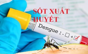 UBND phường Cao Thắng tuyên truyền phòng, chống bệnh sốt xuất huyết, các dấu hiệu và phương pháp điều trị hữu hiệu.