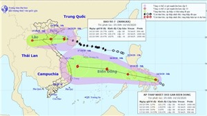Chủ động các biện pháp phòng chống bão số 7