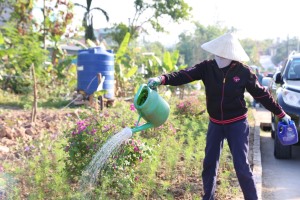 Hạ Long triển khai đợt cao điểm trồng hoa, chỉnh trang đô thị, tổng vệ sinh môi trường.