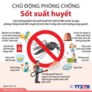 Phòng chống bệnh Sốt xuất huyết